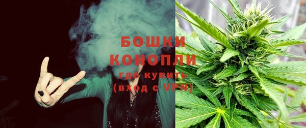 кокаин Белокуриха