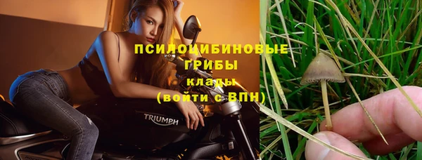 MDMA Богородск