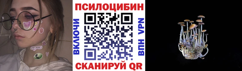 Псилоцибиновые грибы мицелий  сколько стоит  Козьмодемьянск 